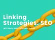 Internal and External Links, SEO. Blog Article featured image. Strong cyan - lime green background with yellow link chain across.